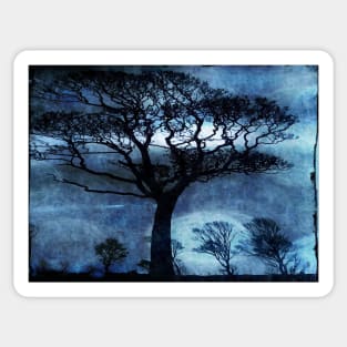 Windswept Downland Treescape in Blue Sticker